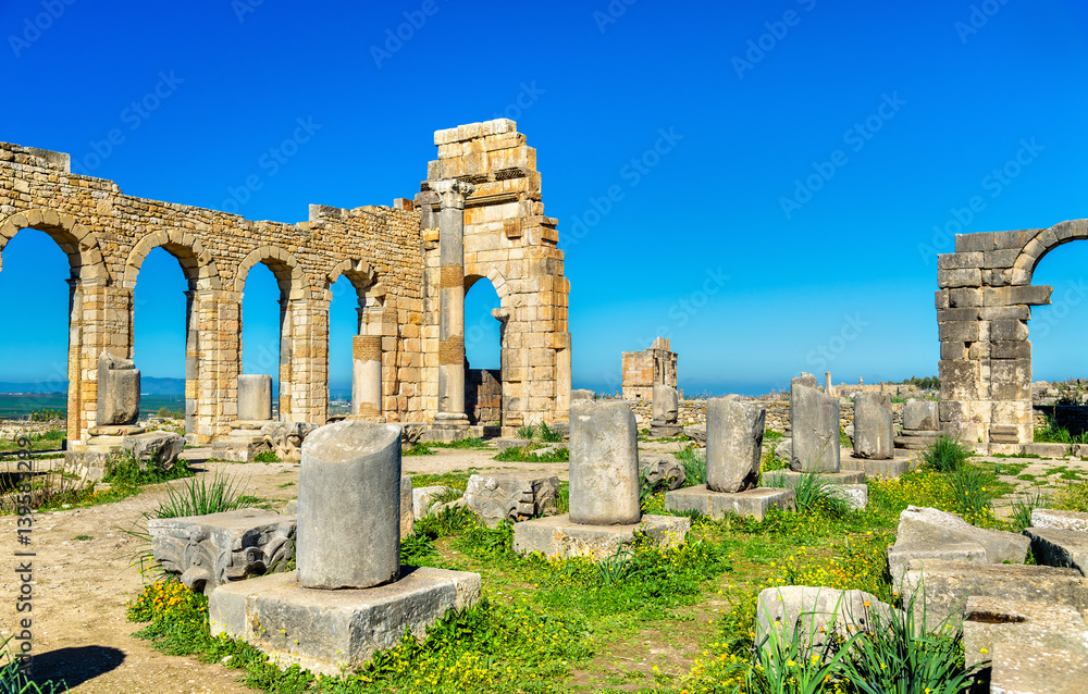 Ruins of a roman basilica at Volubilis, Morocco