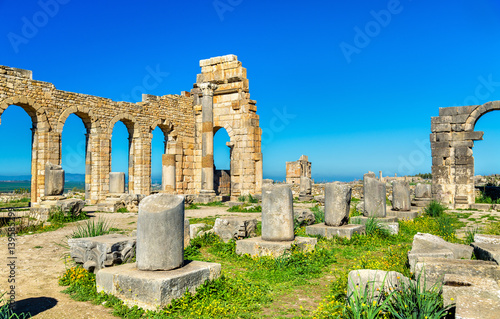 Ruins of a roman basilica at Volubilis, Morocco