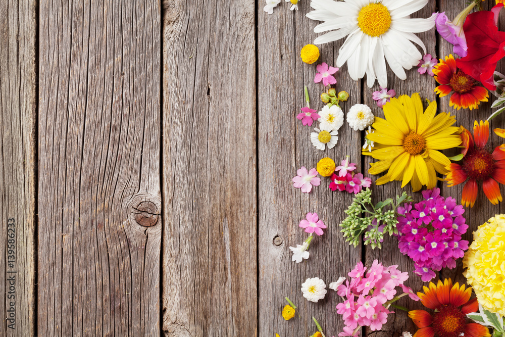 Obraz premium Garden flowers over wooden background