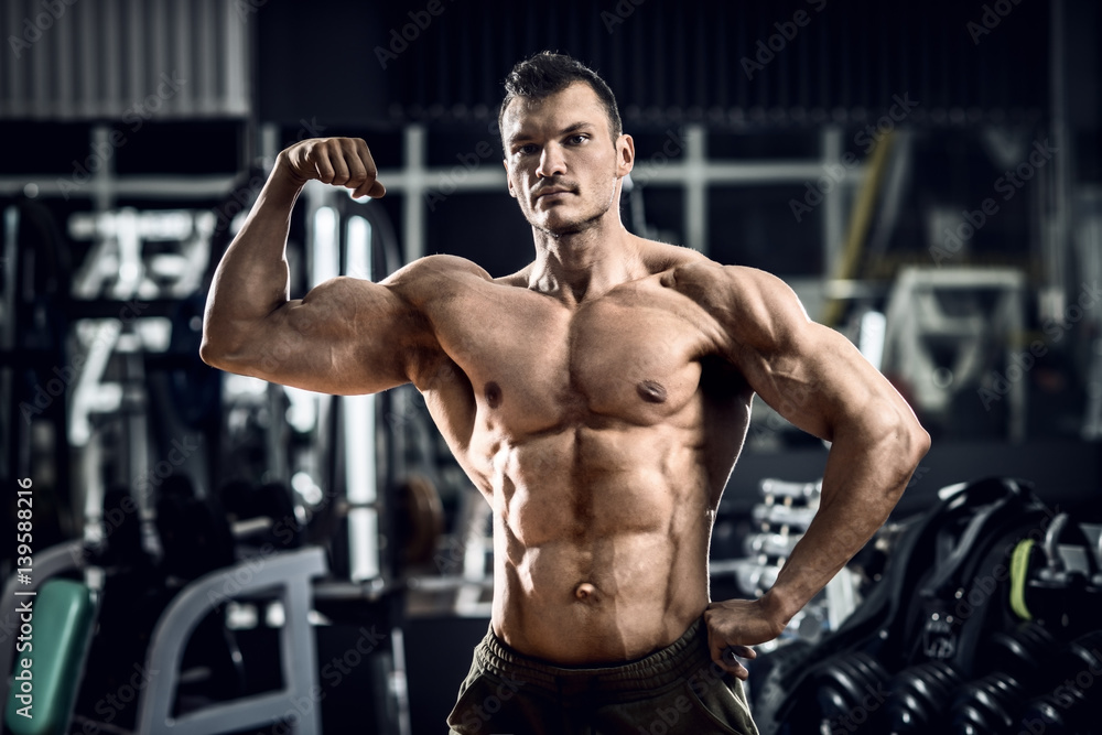 portrait bodybuilder in gym portrait bodybuilder in gym