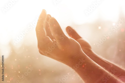 Fotografie, Obraz Human hands open palm up.