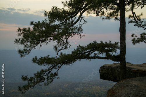 Phukradueng National Park of Thailand.