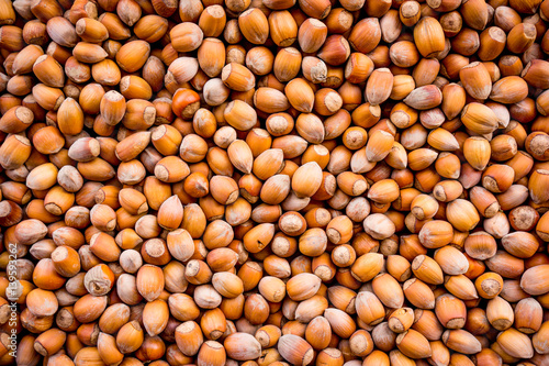 Nuts. nuts background pattern. Texture