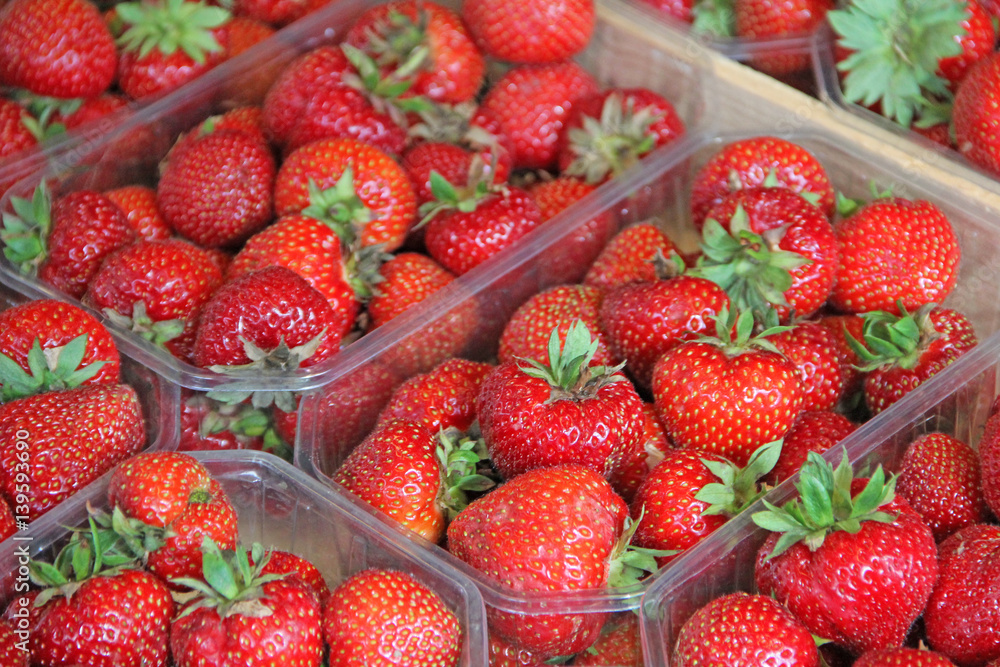erdbeeren erdbeeren