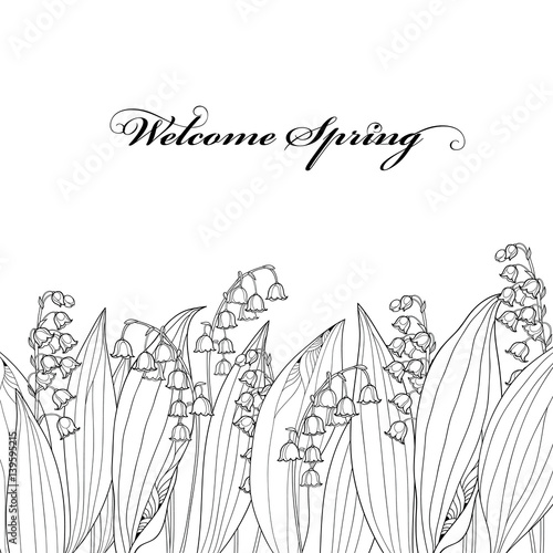 Vector border with outline Lily of the valley or Convallaria flower and leaf isolated. Ornate floral element for spring design, greeting card or coloring book. Border with May lily in contour style.