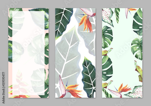 Tropical Hawaii leaves palm tree theme in a watercolor style isolated. photo