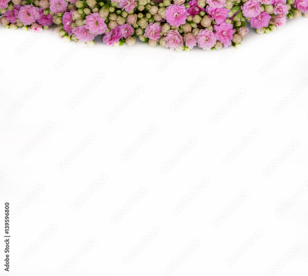 Frame with pink flowers and leaves Frame with pink flowers and leaves
