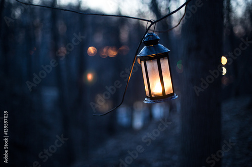 lantern in the wood photo