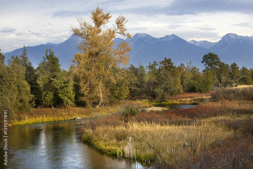 River Snow Mountains Fall Colors National Bison Range Charlo Mon