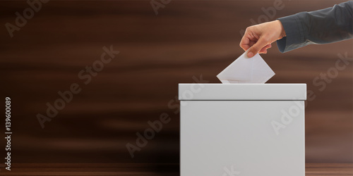 Fotografie Voter on wooden background. 3d illustration