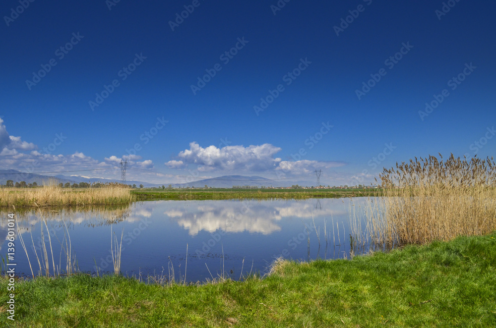 Relaxing landscape - lake with reflection