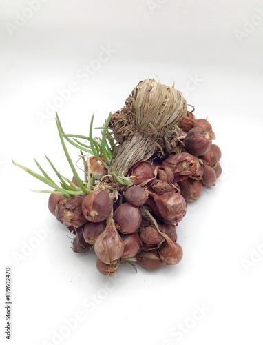 Shallots vegetables in white background