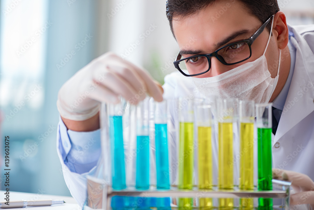 Doctor working in the lab Doctor working in the lab
