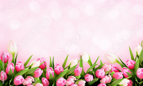 Fototapeta Naklejka Na Ścianę i Meble -  Pink tulip flowers background
