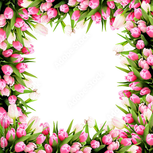 Fototapeta Naklejka Na Ścianę i Meble -  Pink tulip flowers frame