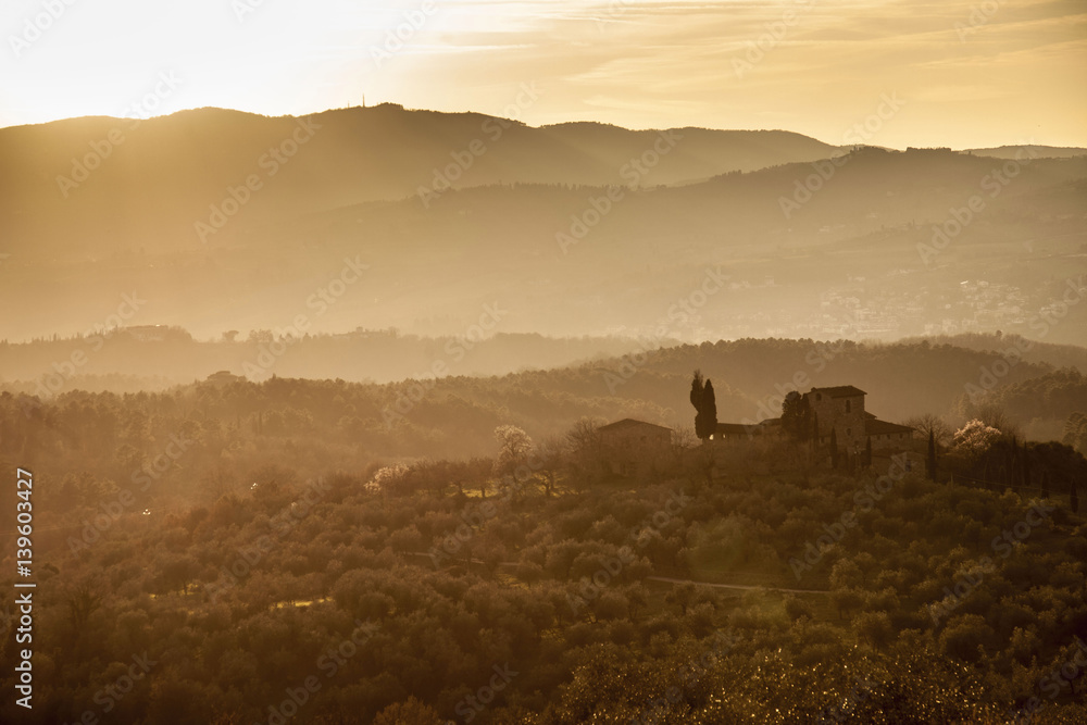 Italia,Toscana,campagna al tramonto.