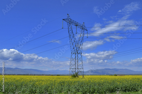 Power Pole in field