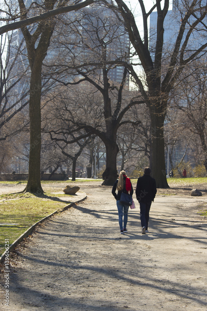 people walking in Central Park, New York City