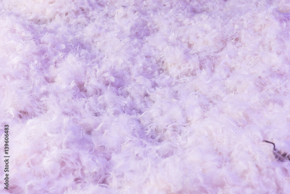 Background texture of soft purple feathers Background texture of soft purple feathers