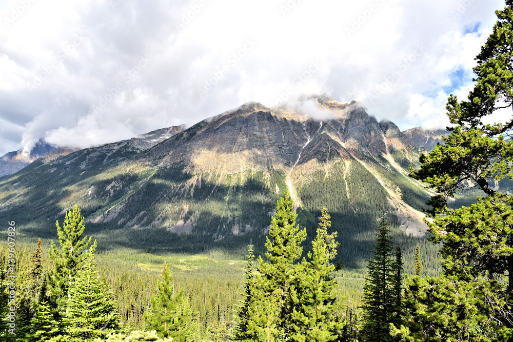 Fototapeta premium montagne rocheuse