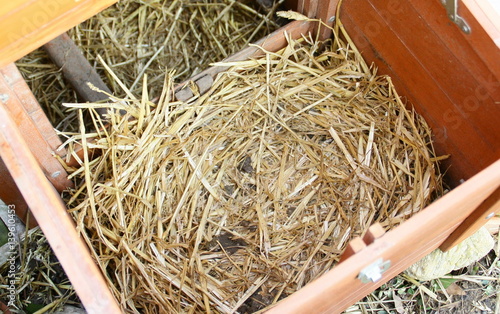 paille dans nichoir de poules en bois