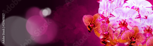 Panel kuchenny z motywem Bukiet storczyków na tle różowych chmór