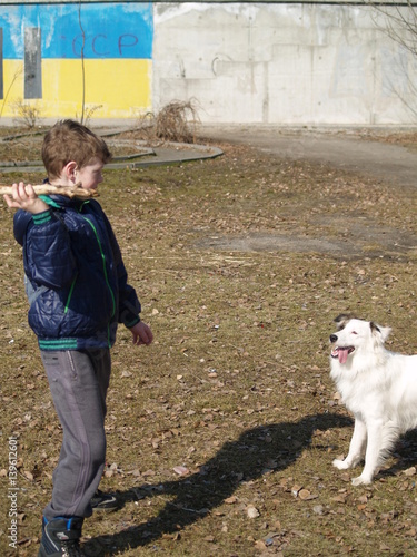 Wallpaper Mural dog training Torontodigital.ca