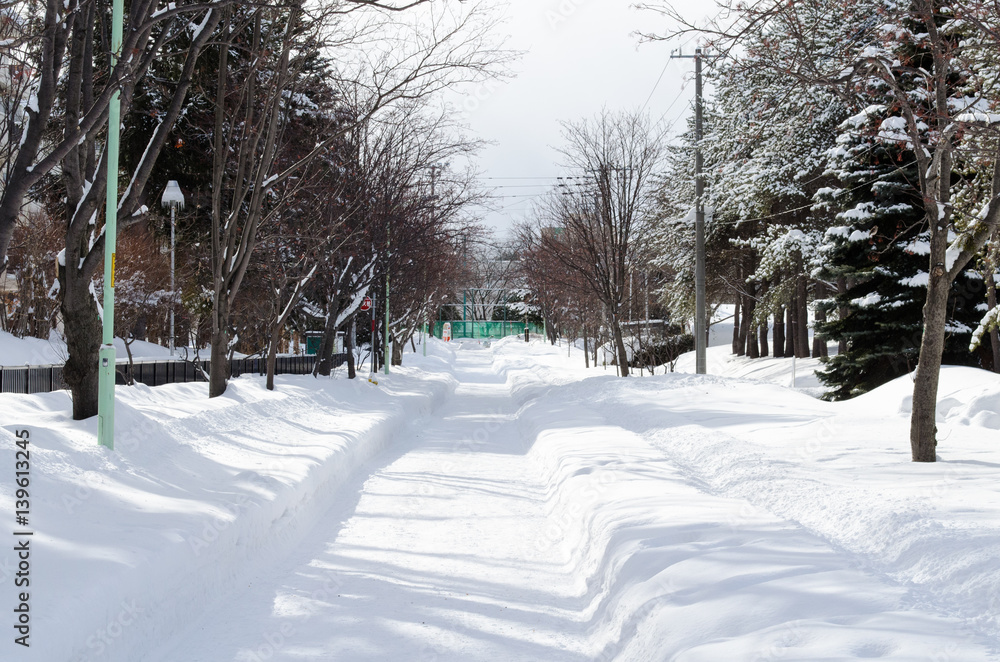 Sapporo im Schnee