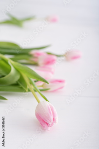Fototapeta Naklejka Na Ścianę i Meble -  Pink tulips in a row on white table