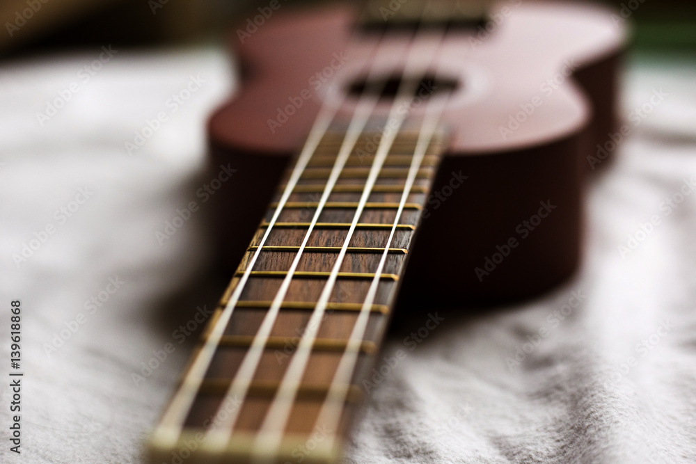 Fototapeta premium Ukulele