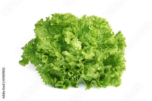 Fototapet Salade batavia