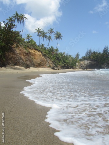 Caribbean Beach