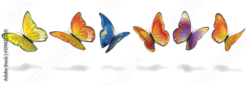 Fototapeta samoprzylepna PAPILLON COLORÉ