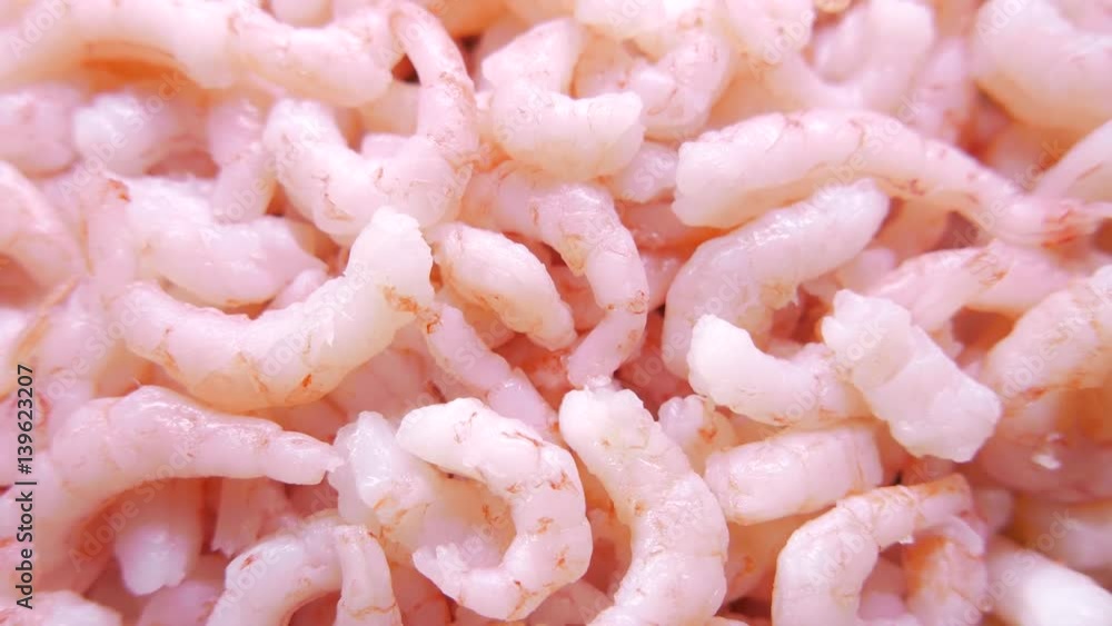 Close up of fresh shrimps. 4K UHD Close up of fresh shrimps. 4K UHD