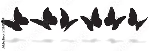 Obraz MOTYL SILHOUETTE