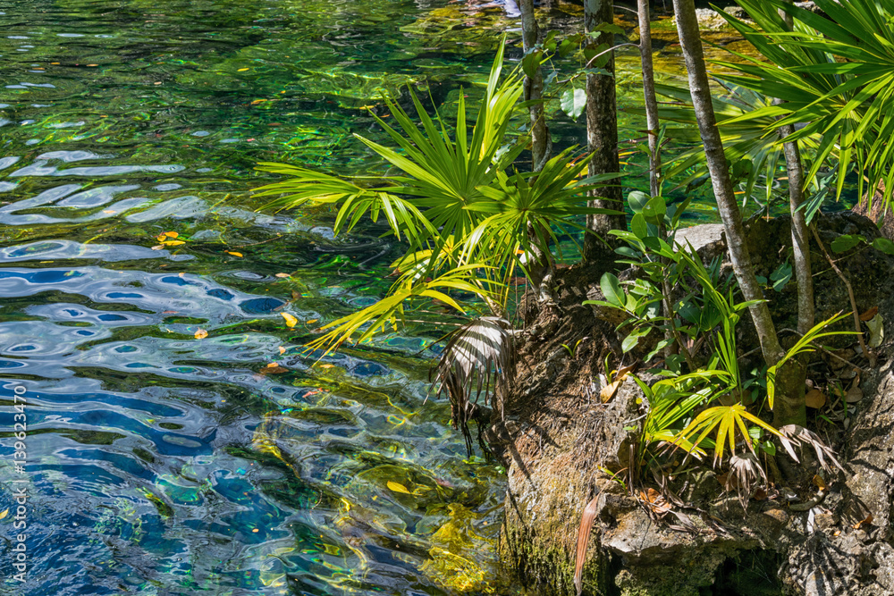 Open Mexican Cenote Open Mexican Cenote