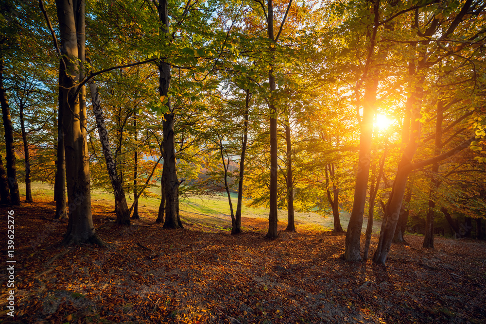 Fototapeta premium Majestic autumn landscape