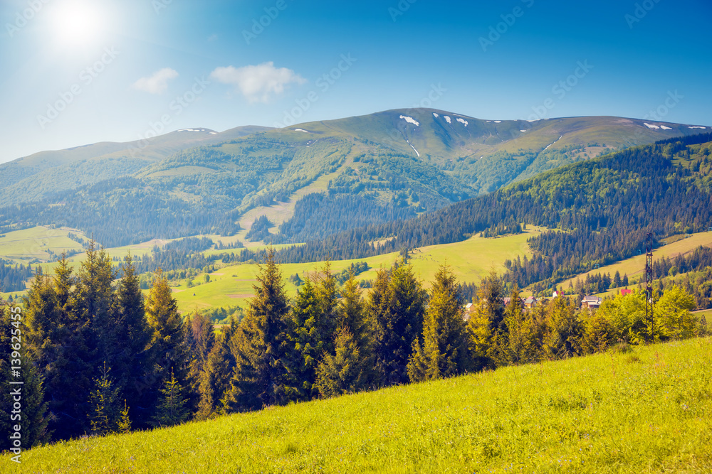 Obraz premium Fantastic summer scene