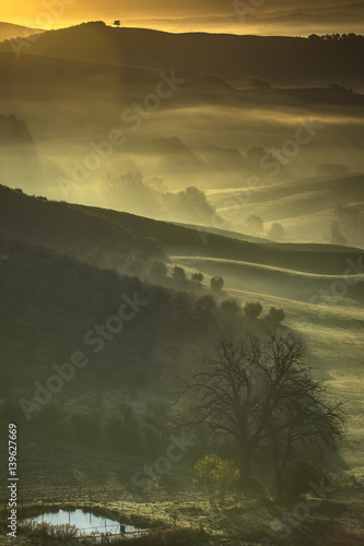 Early morning ligth in Val D'Orcia,Tuscany.
