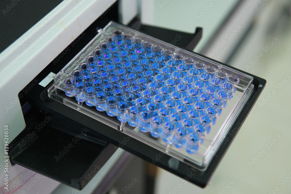 ELISA plate to measure OD with micro plate reader ELISA plate to measure OD with micro plate reader