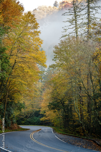 Smoky Mountains Autumn Fog © Ronald