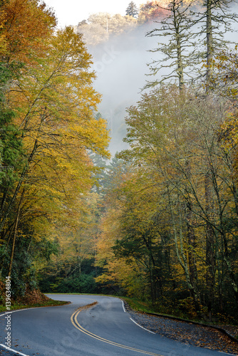 Smoky Mountains Autumn Fog