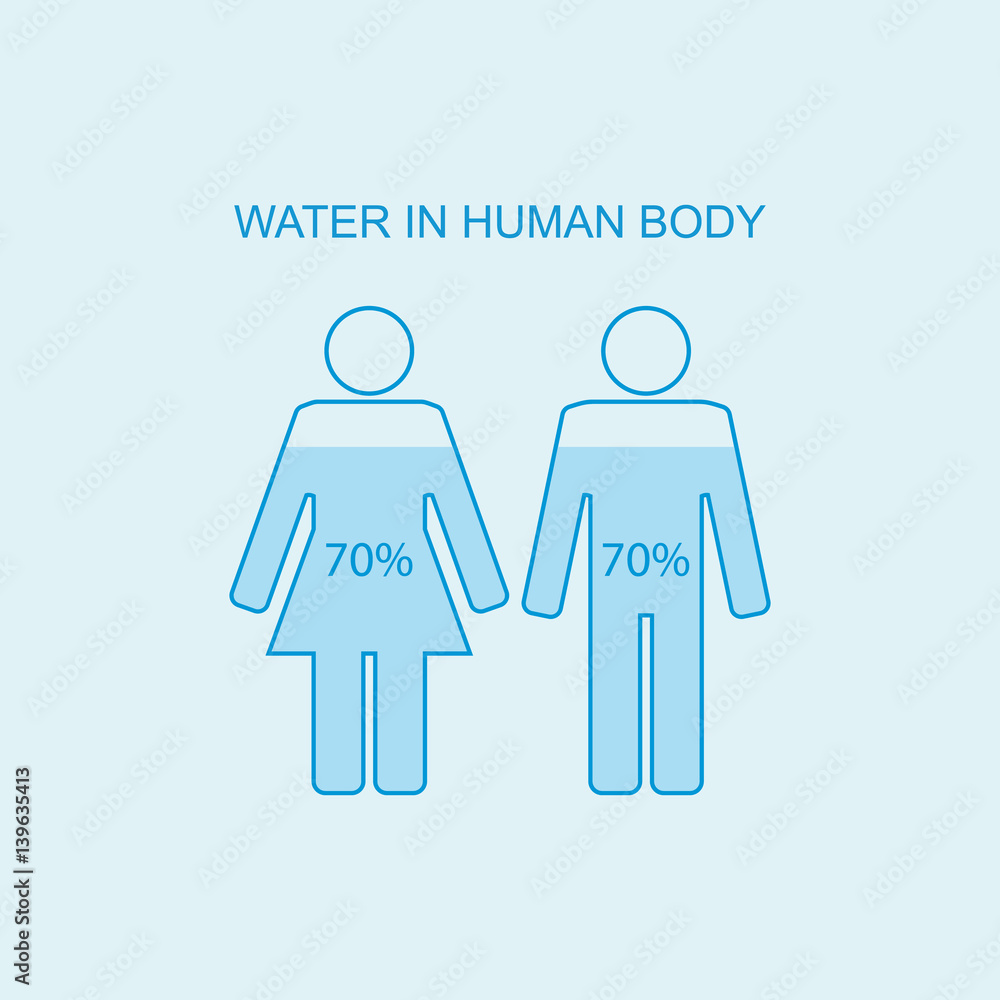 Water in human body. Water content charts percentage in human body. Vector  illustration Stock Vector | Adobe Stock