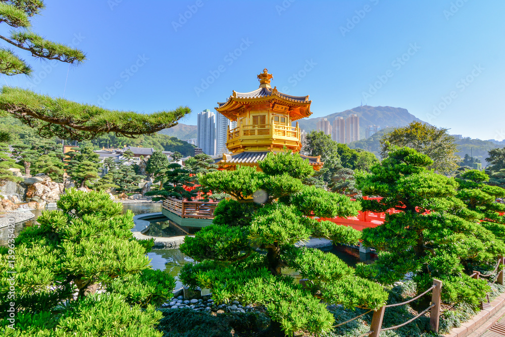 Fototapeta premium panorama hong kong city