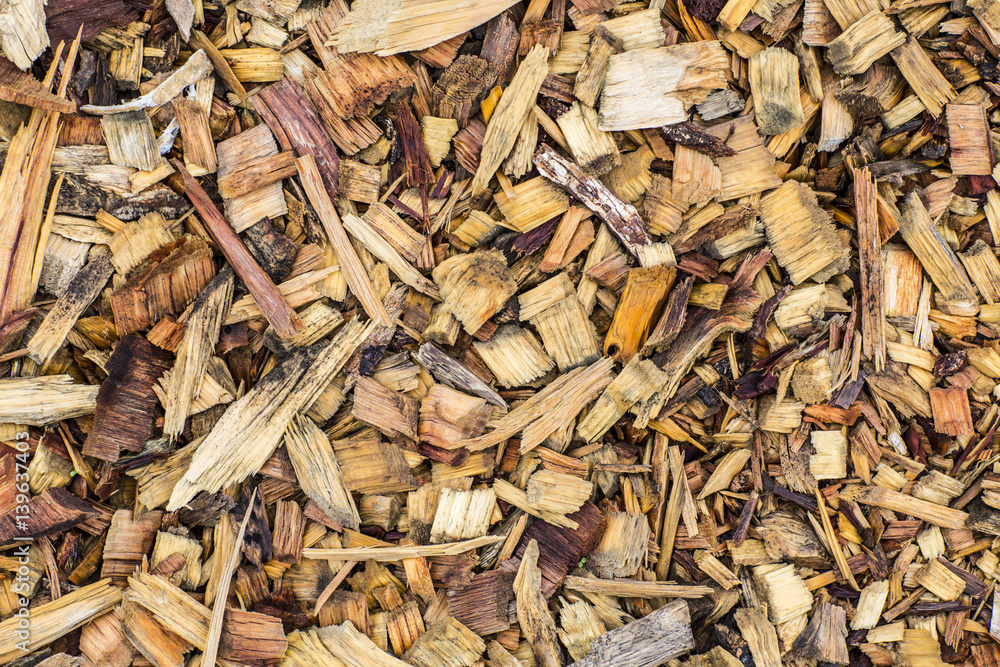 wood texture wood texture