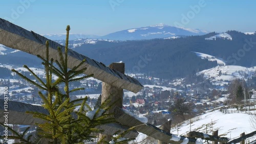 Lone Tree Mountain Landscape in Carpathians photo