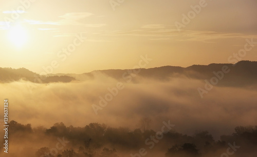 Beautiful moment - a miracle of nature. Deep morning fog background. Barely visible silhouettes of trees through a thick morning mist at dawn in the Smoky Mountains area, USA.