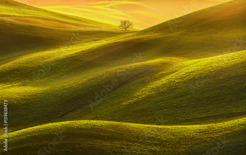 Vászonkép Tuscany panorama, rolling hills, fields, meadow and lonely tree