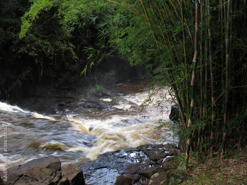 Fototapeta premium As pedras, o verde e a água.