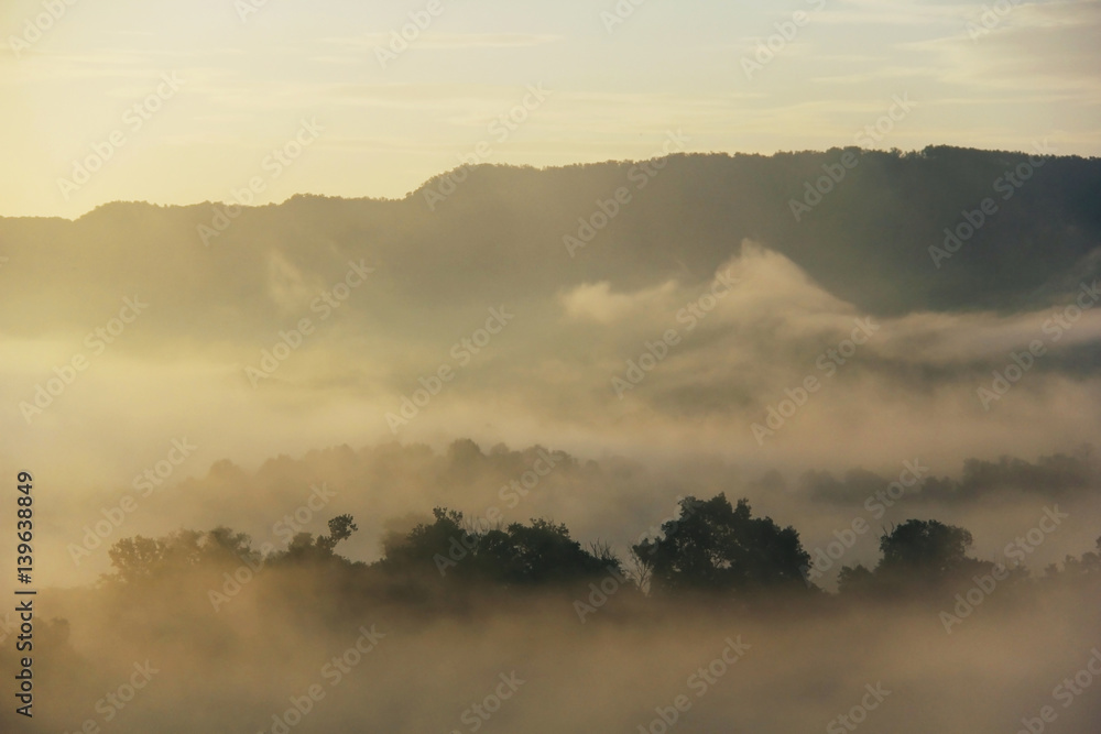Deep morning fog background. Beautiful moment - a miracle of nature. Barely visible silhouettes of trees through a thick morning mist during sunrise in the Smoky Mountains area, USA.
